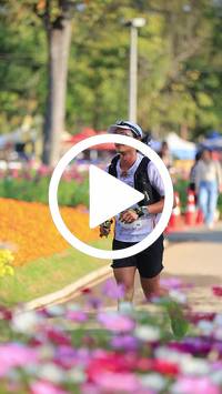 BIB:  <button type="button" onclick="openModal(27583717)" class="btn btn-primary btn-sm float-right" data-toggle="modal" data-target=".modal-high-quality">
                <i class="fa fa-download"></i> Download
                </button>